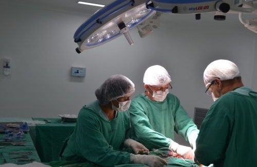 IMED - Instituto de Medicina, Estudos e Desenvolvimento | HCN - Hospital Estadual do Centro-Norte Goiano | Captação de órgãos para transplantes