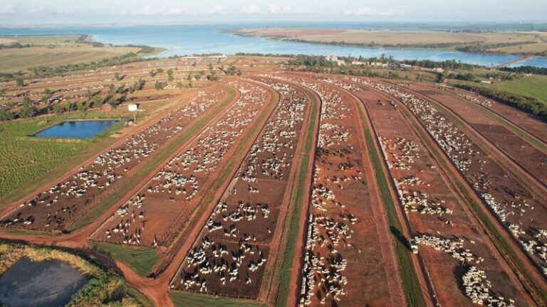 Imagem panorâmica das fazendas da Colpar Agro no Centro-Oeste brasileiro. Marca gerida pelo executivo José Roberto Colnaghi, presidente do conselho de administração da holding Colpar Brasil